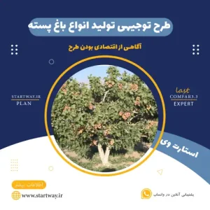 طرح توجیهی تولید باغ پسته-استارت وی