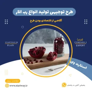 طرح توجیهی تولید رب انار-استارت وی