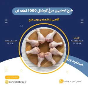طرح توجیهی مرغ گوشتی 1000 قطعه ای-استارت وی