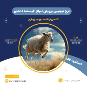 طرح توجیهی پرورش گوسفند داشتی-استارت وی